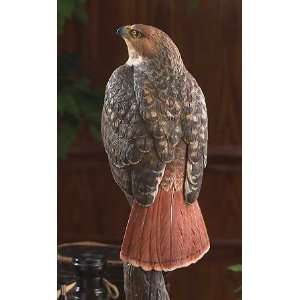 Red Tailed Hawk Figurine: Home & Kitchen