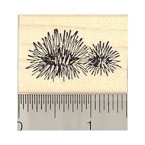  Sea Urchins Rubber Stamp Arts, Crafts & Sewing