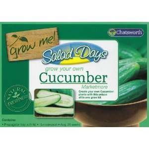 Grow Your Own Cucumber   Marketmore   Propagator