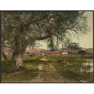  Mission San Antonio,de Pádua,landscape,trees,CA,c1898 