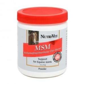 : Equine Joint Support Supplement   MSM Formula helps maintain joint 