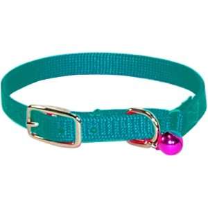   Safety Cat Collar with Bell, Teal, 3/8 Wide x 14 Long: Pet Supplies