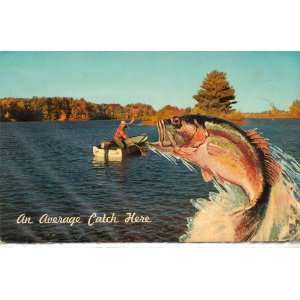Post Card: AN AVERAGE CATCH HERE, HSC 276, Printed in the USA, Mirro 