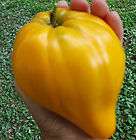   SEEDS Orange German Tomato Plant ORGANiC Max $1.99 S&H Free seeds