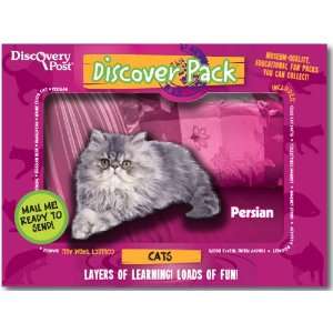  Discovery Post Cat Discover Pack, Persian Toys & Games