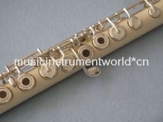 Rare Material Flute Silver Plated VERY NICE CUSTOM  