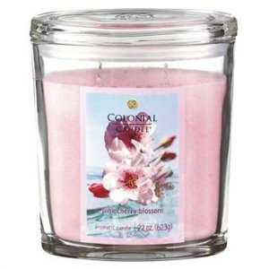  Pink Cherry Blossom 22oz Scented Candles (Set of 2): Home 