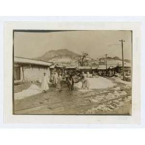    Pack horses,Seoul,South Korea,c1904,Robert Lee Dunn