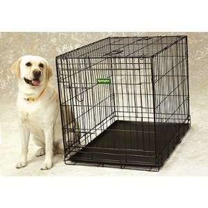  Remington REM   X Wire Dog Kennel: Pet Supplies