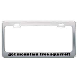 Got Mountain Tree Squirrel? Animals Pets Metal License Plate Frame 