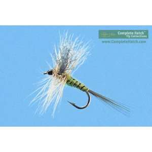 Blue Winged Olive   Complete Hatch Fly Kits   Includes 12 Flies, Fly 