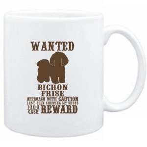    Wanted Bichon Frise   $1000 Cash Reward  Dogs