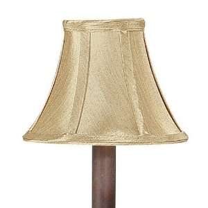  Capital Lighting Outdoor 423 Decorative Shade N A: Home 