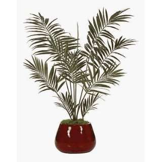  6.5 Kentia Palm Tree: Arts, Crafts & Sewing