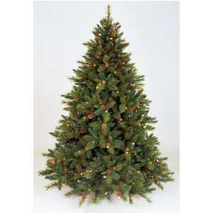   COLORED LIGHTS! Trim Austin Christmas Tree SOLD OUT!: Home & Kitchen