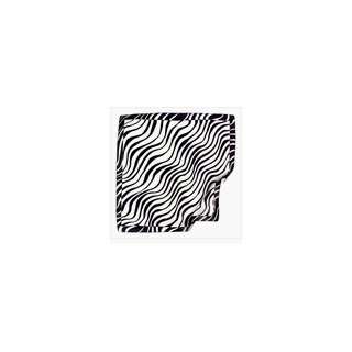  Zebra Print Scarf