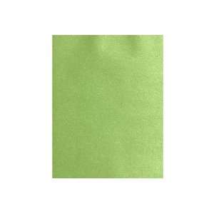    8 1/2 x 11 Paper   Pack of 50   Fairway Metallic: Office Products