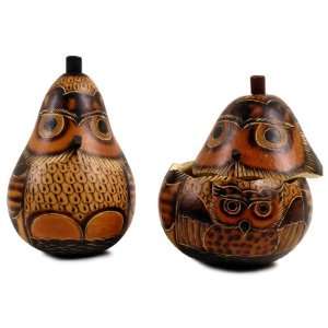  Hand Carved Dryed Gourd Owl Box Keepsake Fair Trade Peru 