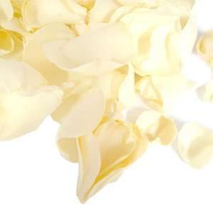  Freeze Dried Cream Ivory Rose Petals: Toys & Games
