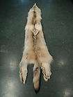 Cased Wolf #4 Taxidermy Furs Log Cabin Pelt Hide Fur