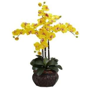   Phalaenopsis w/Decorative Vase Silk Flower Arrangement: Home & Kitchen
