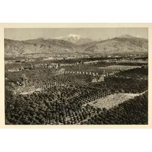  1935 Orchard Glendale San Gabriel Mountains California 