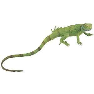  Green Iguana Baby (Incredible Creatures): Toys & Games