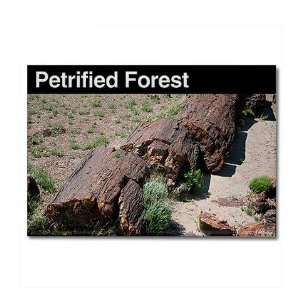 Petrified Forest NP Travel Rectangle Magnet by   