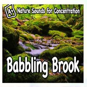   Nature Sounds for Concentration   Babbling Brook Study Music Music