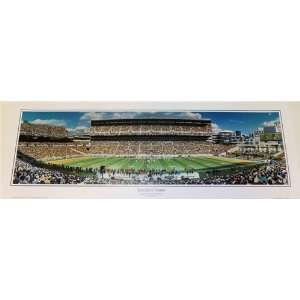   at Heinz Field 13.5 x 39 inch Panoramic Print Sports Collectibles