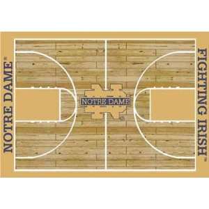   : NCAA Home Court Rug   Notre Dame Fighting Irish: Sports & Outdoors