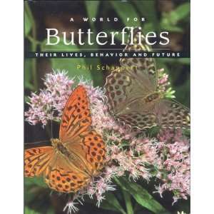  New Firefly World Of Butterflies Beautiful & Authoritative 