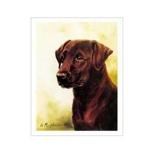  Chocolate Lab Head Study Note Cards 