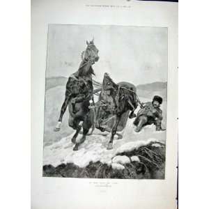   Coton Woodville Sketch Nick Of Time Horses Print 1896