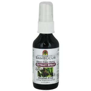  Natures Answer Sambucus Extract Spray Alcohol Free 2 oz 