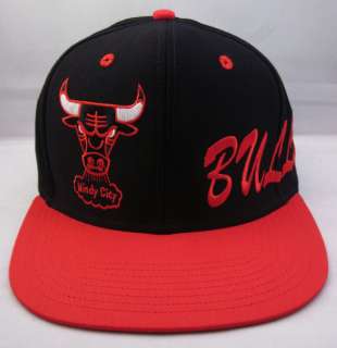 Chicago Bulls Snapback Cap Hat Air Jordan Vintage NBA  