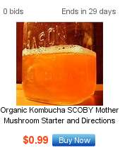 Organic Kombucha SCOBY Mother Mushroom Starter and Directions  