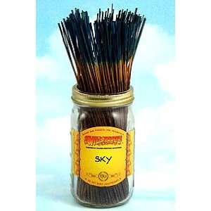  Sky   20 Wildberry Incense Sticks Beauty