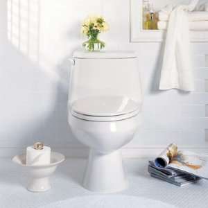  American Standard Bathroom Fixtures: Home Improvement