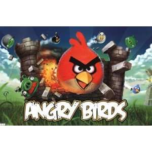 22x34) Angry Birds Video Game Poster Print 