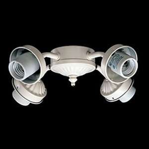   Quorum International 2444 1067 4 Light Fan Light Kit: Home Improvement