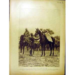 1918 Joli Jeste Reine Belges Horse Leviathan Ship Print  