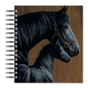  ECOeverywhere Mare and Colt Picture Photo Album, 18 Pages 