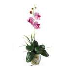 NearlyNatural Mini Phalaenopsis Liquid Illusion Silk Orchid 