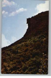 Postcard~Old Man of Mountains Profile~New Hampshire/NH  