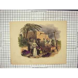   : Grapes Creating Wine Trees Men Child Antique Print: Home & Kitchen
