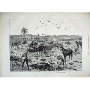   War Egypt Dead Wounded Battle Kassassin Horses Art: Home & Kitchen