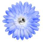 Crystal Gerber Daisy Flower Clip   FREE SHIPPING  