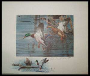 NC1 1983 1st NC Duck Stamp Print   RARE Color Remarque  