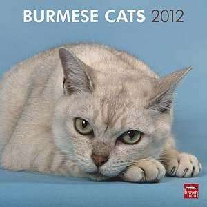  2012 Burmese Cats Calendar